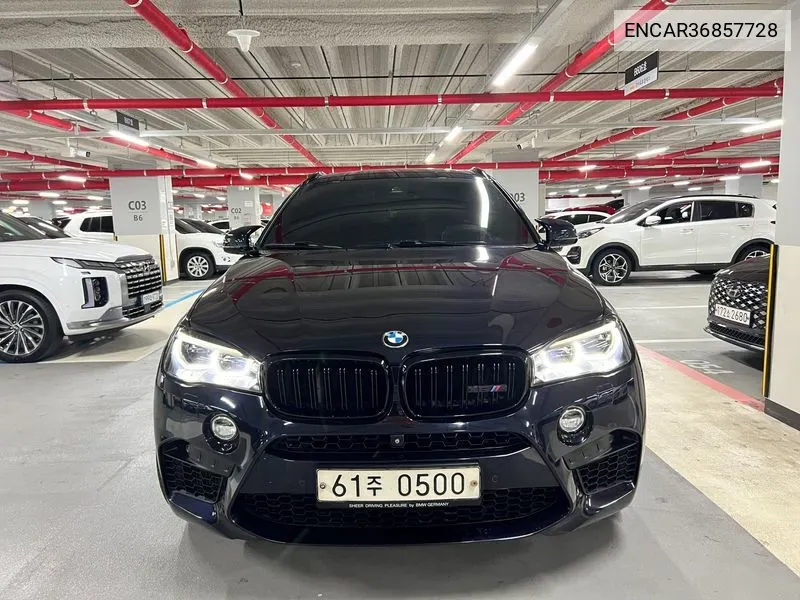 X6M (F16) 4.4 VIN: WBSKW8109GDP69412 Lot: 38565304