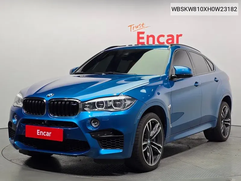 X6M (F16) 4.4 VIN: WBSKW810XH0W23182 Lot: 37855286