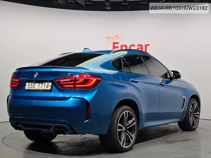 X6M (F16) 4.4 VIN: WBSKW810XH0W23182 Lot: 37855286