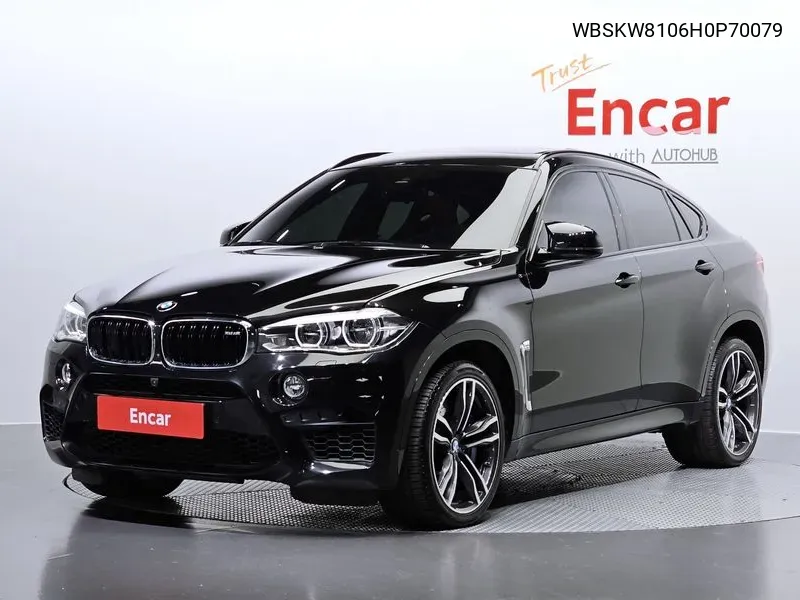 X6M (F16) 4.4 VIN: WBSKW8106H0P70079 Lot: 38723811