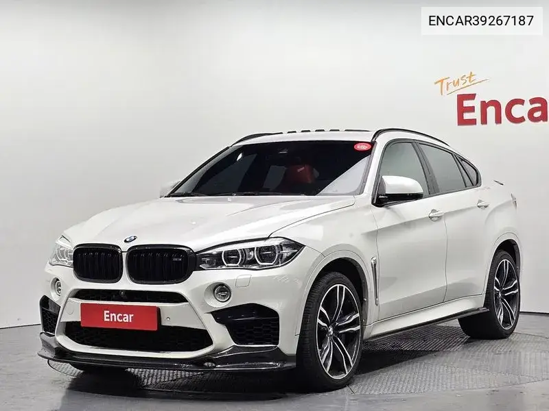 X6M (F16) 4.4 VIN: WBSKW8108H0P70259 Lot: 39267187