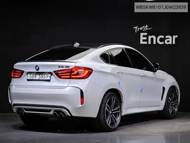 X6M (F16) 4.4 VIN: WBSKW8107J0W23839 Lot: 38343875