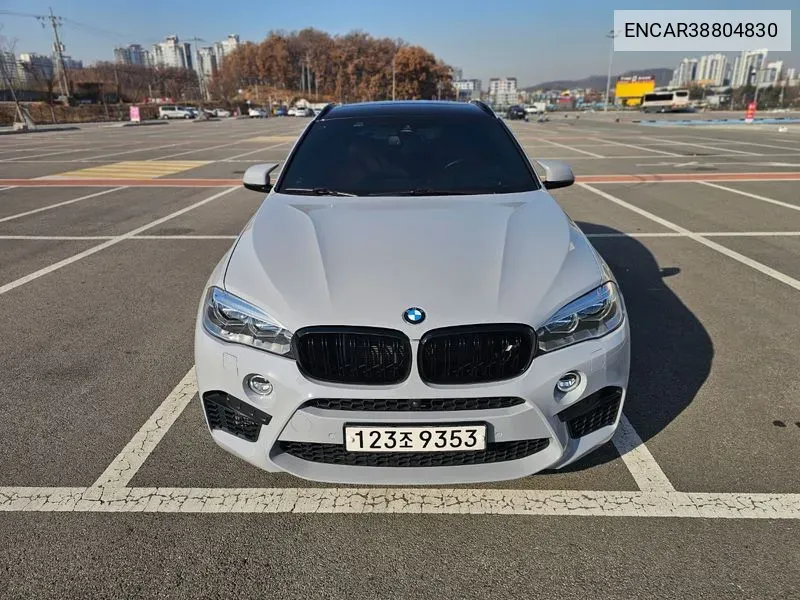 X6M (F16) 4.4 VIN: ENCAR38804830 Lot: 38804830