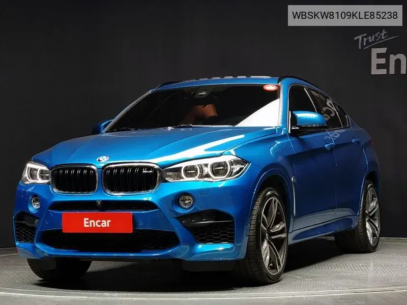 X6M (F16) 4.4 VIN: WBSKW8109KLE85238 Lot: 39509184