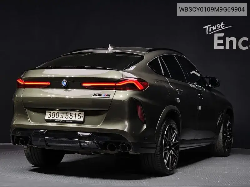X6M (G06) 4.4 Competition VIN: WBSCY0109M9G69904 Lot: 39572807