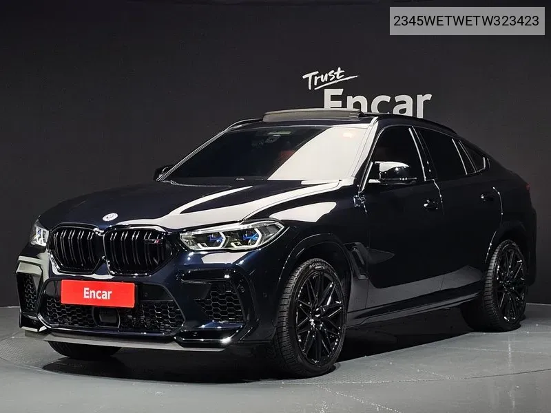 X6M (G06) 4.4 Competition VIN: 2345WETWETW323423 Lot: 38437755