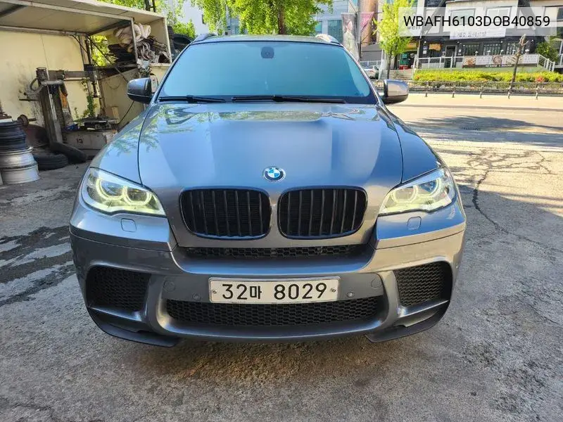 X6 (E71) 30D VIN: WBAFH6103DOB40859 Lot: 39917329