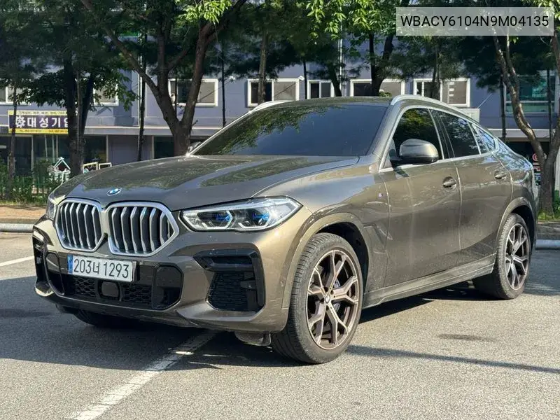 X6 (G06) xDrive40I M Sports VIN: WBACY6104N9M04135 Lot: 39985391