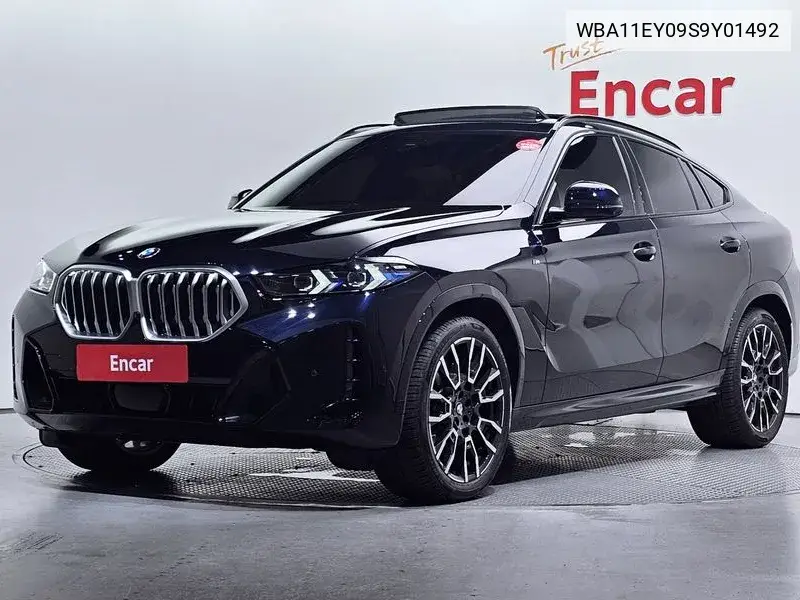 X6 (G06) xDrive30D M Sports VIN: WBA11EY09S9Y01492 Lot: 39953279