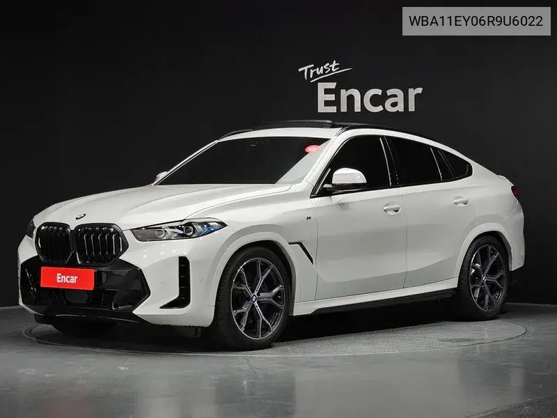 X6 (G06) xDrive30D M Sports VIN: WBA11EY06R9U6022 Lot: 39975606