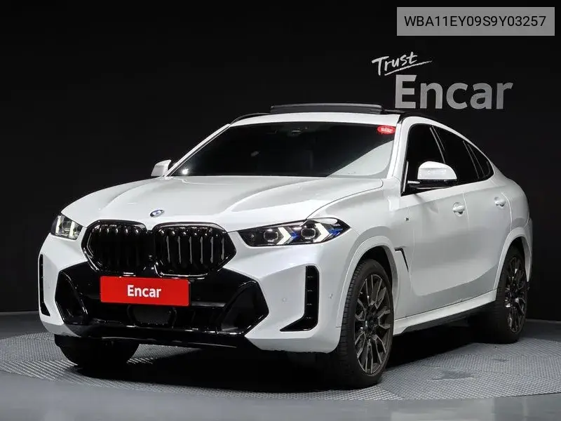X6 (G06) xDrive30D M Sports VIN: WBA11EY09S9Y03257 Lot: 40104353