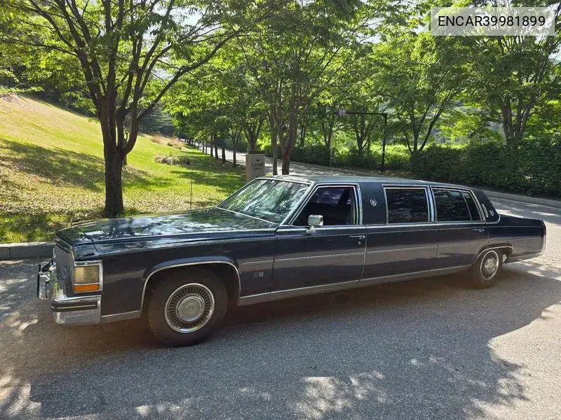 Plitwood Limousine VIN: ENCAR39981899 Lot: 39981899