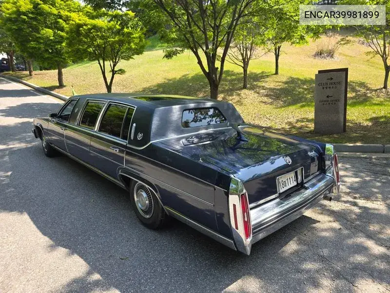Plitwood Limousine VIN: ENCAR39981899 Lot: 39981899