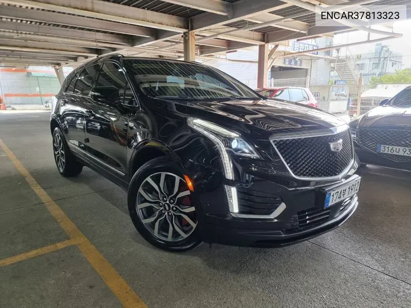 Xt53.6 Sports Awd VIN: ENCAR37813323 Lot: 37813323