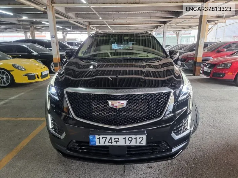 Xt53.6 Sports Awd VIN: ENCAR37813323 Lot: 37813323