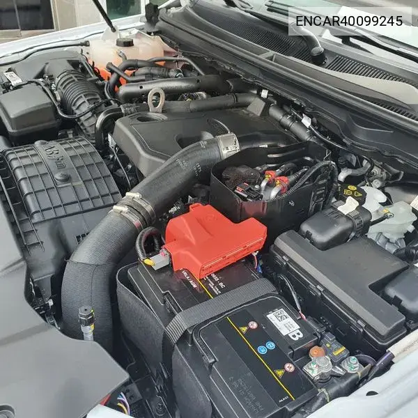 Ranger 3Rd Generation 2.0 Wild Track VIN: ENCAR40099245 Lot: 40099245