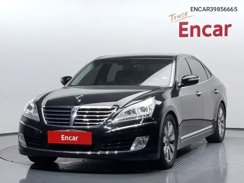 Equus (New) Vs380 Prestige VIN: ENCAR39856665 Lot: 39856665