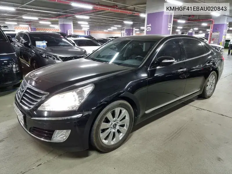 Equus (New) Vs380 Luxury VIN: KMHGF41EBAU020843 Lot: 39981927
