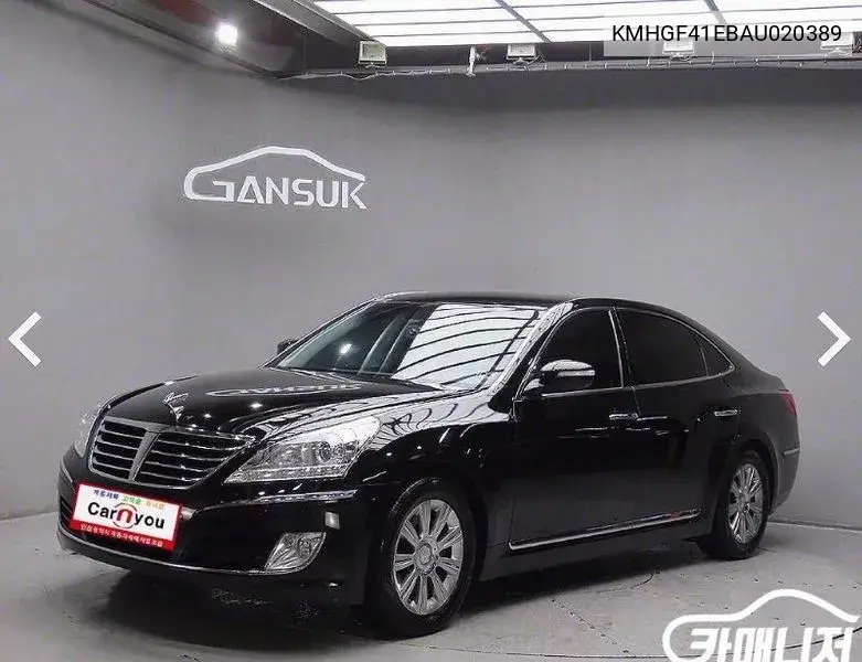 Equus (New) Vs380 Luxury VIN: KMHGF41EBAU020389 Lot: 39991688