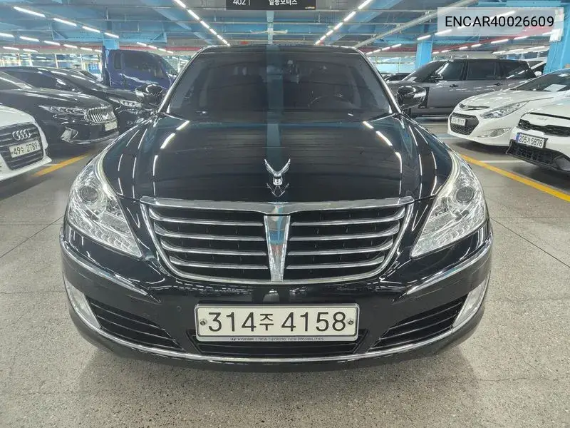 Equus (New) Vs380 Prime VIN: ENCAR40026609 Lot: 40026609