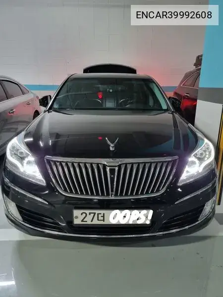 Equus (New) Vs380 Luxury VIN: ENCAR39992608 Lot: 39992608