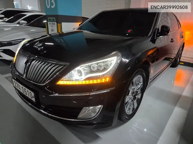 Equus (New) Vs380 Luxury VIN: ENCAR39992608 Lot: 39992608