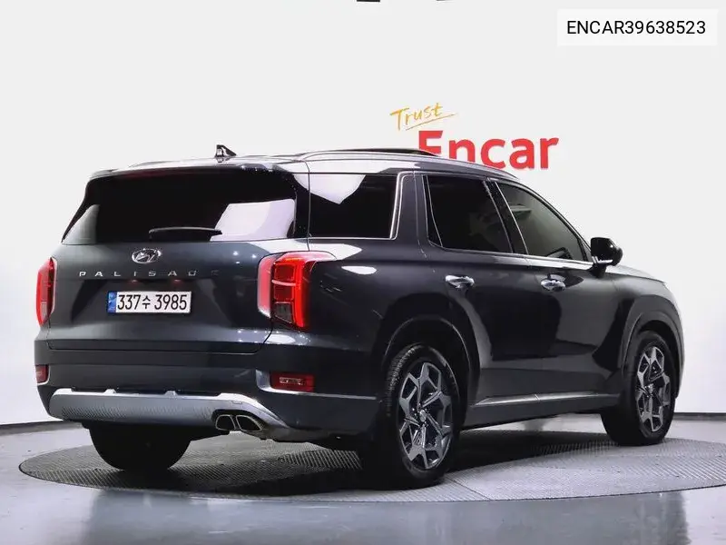Palisade Gasoline 3.8 2Wd Vip VIN: ENCAR39638523 Lot: 39638523