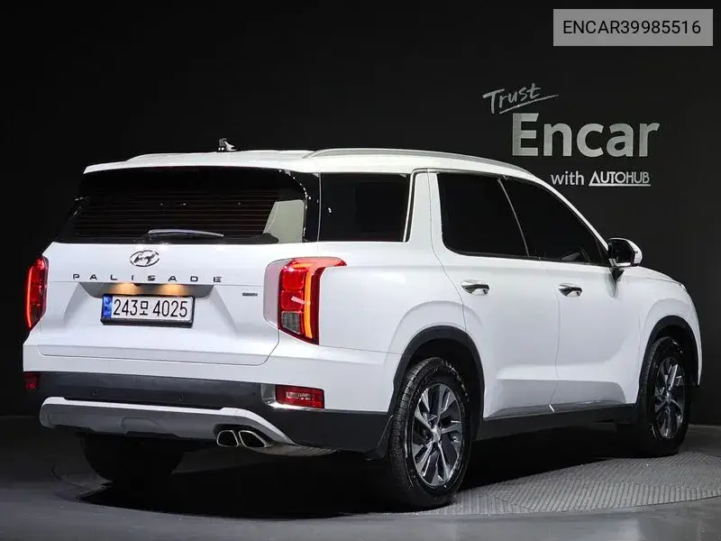 Palisade Gasoline 3.8 4Wd Exclusive VIN: ENCAR39985516 Lot: 39985516