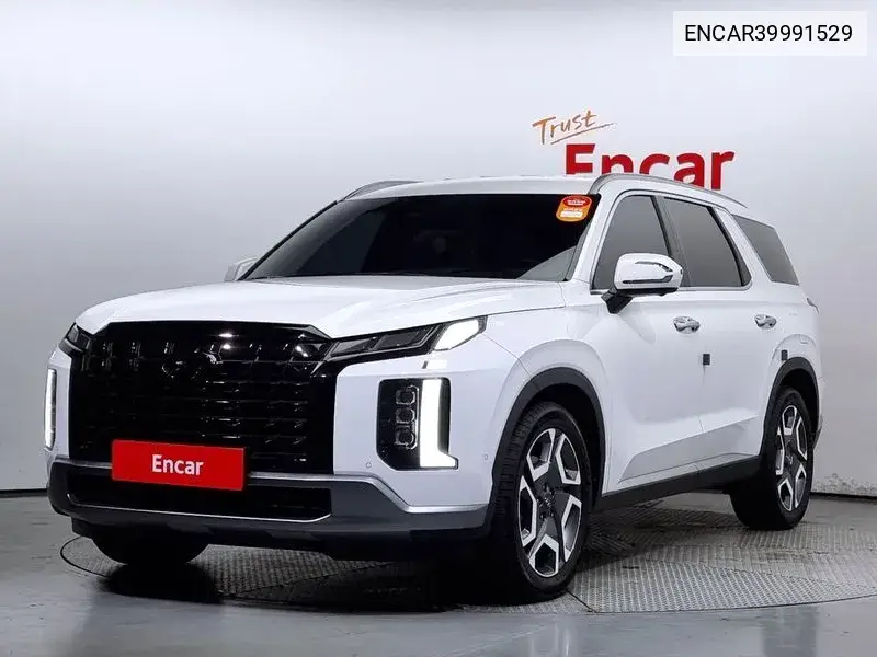 The New Palisade Gasoline 3.8 2Wd Prestige VIN: ENCAR39991529 Lot: 39991529