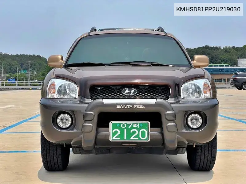 Santa Fe 2.7 V6 Lpg Gold Default VIN: KMHSD81PP2U219030 Lot: 39772147