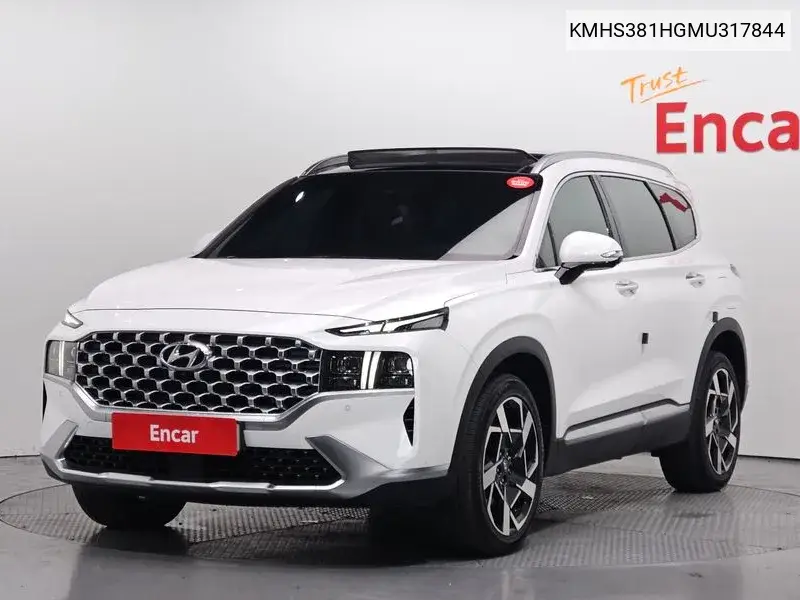 The New Santa Fe Diesel 2.2 2Wd Prestige VIN: KMHS381HGMU317844 Lot: 39642115