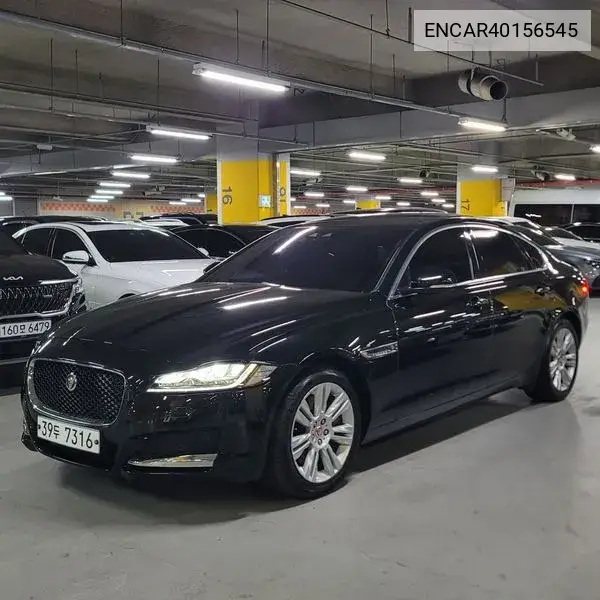 Xf (X260) 30D Portfolio VIN: ENCAR40156545 Lot: 40156545