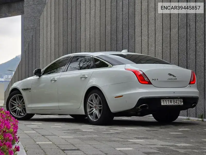 All New Xj 3.0 Sc Awd Portfolio Lwb X351 VIN: SAJAJ26D1K8W21194 Lot: 39458646