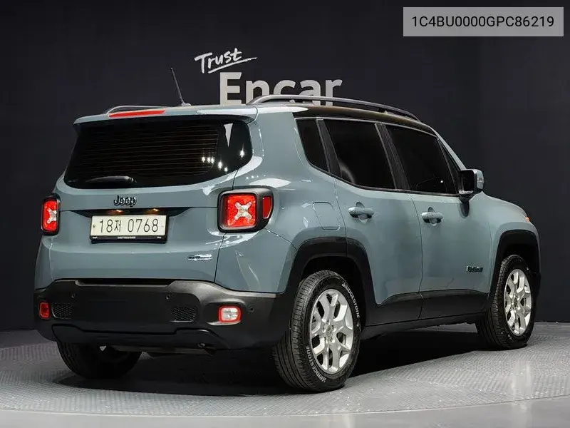 Renegade 2.4 Ronji Tude VIN: 1C4BU0000GPC86219 Lot: 39516530