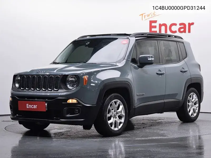 Renegade 2.4 Ronji Tude VIN: 1C4BU0000GPD31244 Lot: 39592876