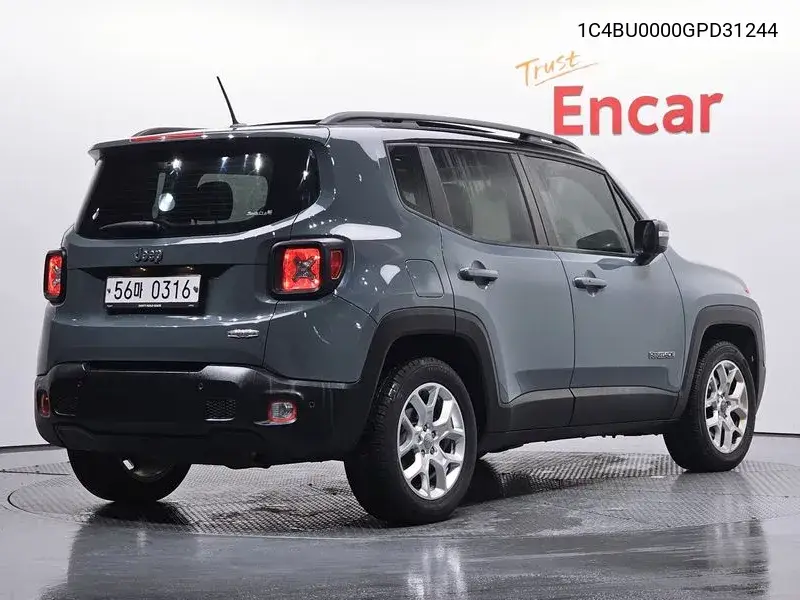 Renegade 2.4 Ronji Tude VIN: 1C4BU0000GPD31244 Lot: 39592876
