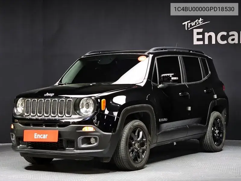 Renegade 2.0 Diesel Ronji Tude Awd VIN: 1C4BU0000GPD18530 Lot: 39603725