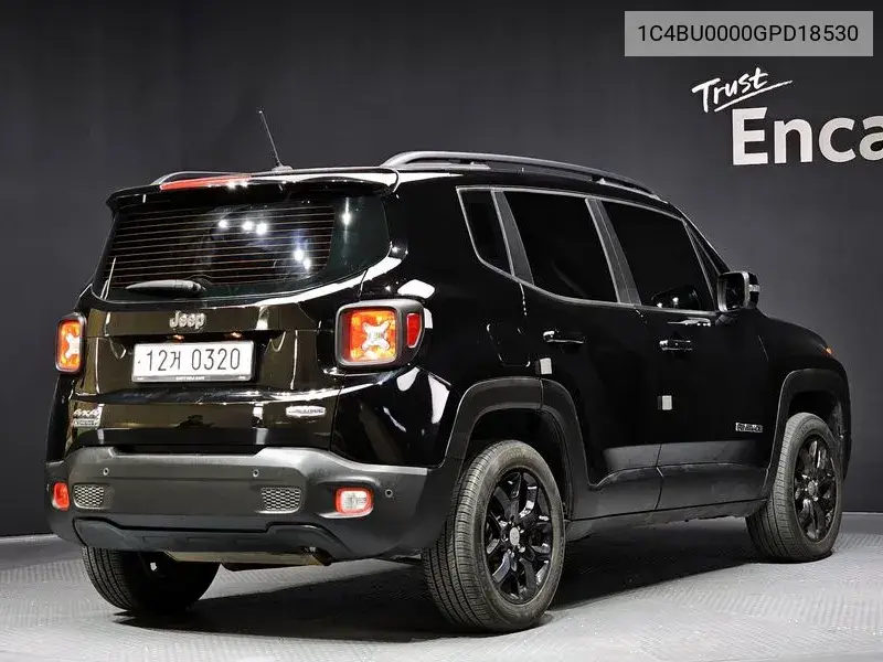 Renegade 2.0 Diesel Ronji Tude Awd VIN: 1C4BU0000GPD18530 Lot: 39603725