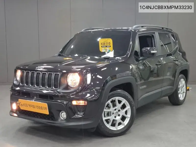 Renegade 2.4 Ronji Tude VIN: 1C4NJCBBXMPM33230 Lot: 39643110