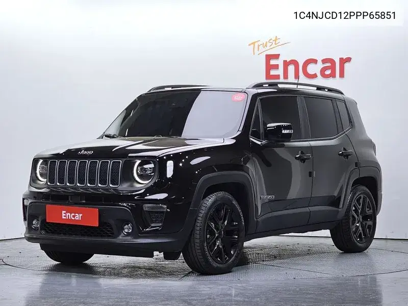 1c4njcd12ppp65851 1C4NJCD12PPP65851 Renegade 1.3 Limited