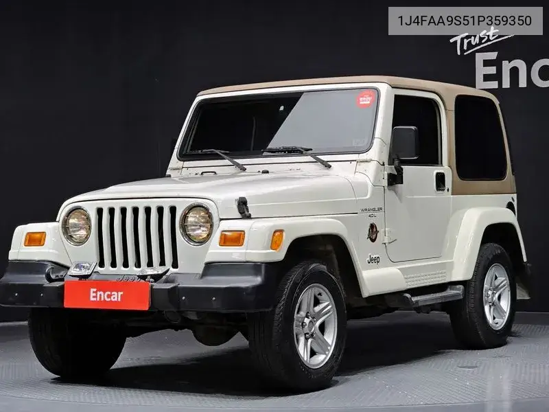 Wrangler (Tj) Sahara 2 Door VIN: 1J4FAA9S51P359350 Lot: 39962817