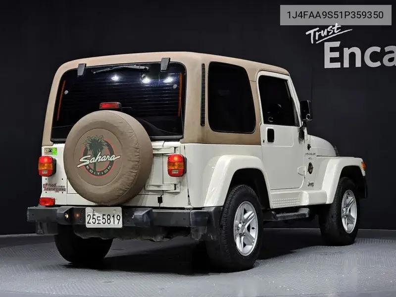 Wrangler (Tj) Sahara 2 Door VIN: 1J4FAA9S51P359350 Lot: 39962817