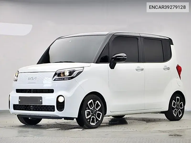 The New Ray Signature VIN: ENCAR39279128 Lot: 39279128