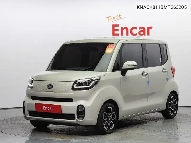 The New Ray Signature VIN: KNACK811BMT263205 Lot: 39622463