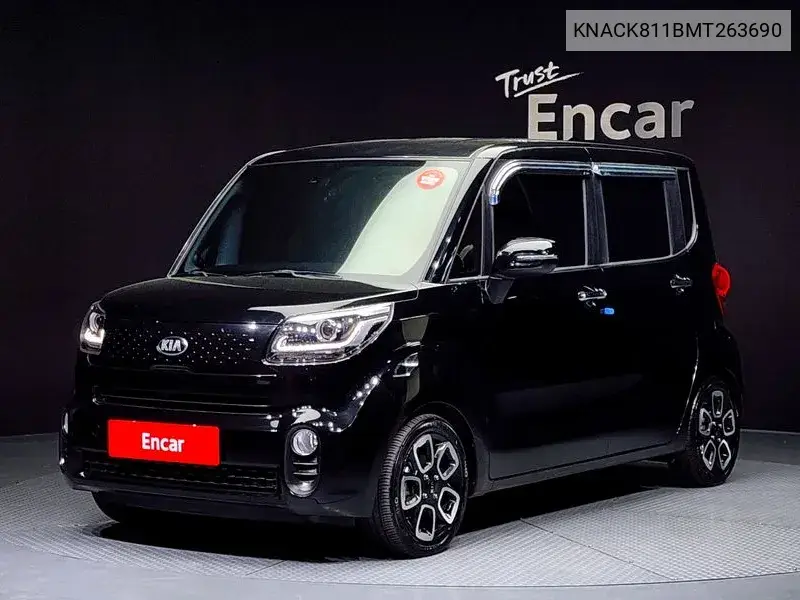 The New Ray Signature VIN: KNACK811BMT263690 Lot: 39630937