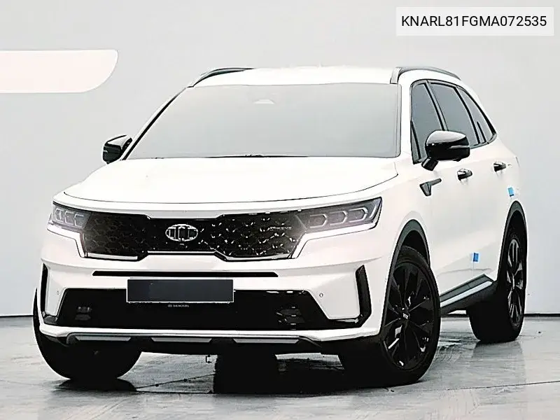 Sorento 4Th Generation Gasoline 2.5T 2Wd Gravity VIN: KNARL81FGMA072535 Lot: 39976412