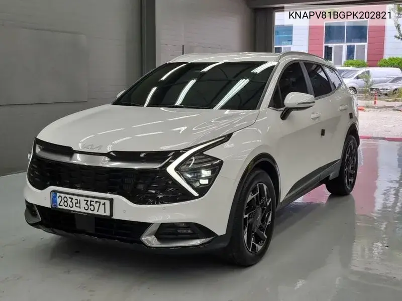 Sportage 5Th Generation Gasoline 1.6 Turbo 2Wd Signature VIN: KNAPV81BGPK202821 Lot: 39983984