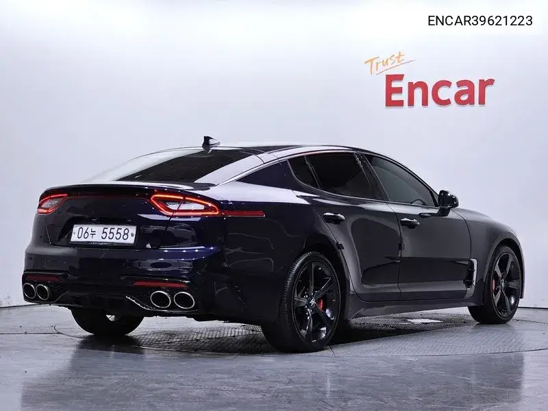 Stinger 2.0 Turbo 2Wd Platinum VIN: ENCAR39621223 Lot: 39621223