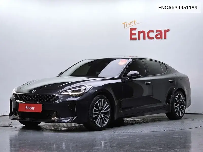Stinger 2.0 Turbo 2Wd Platinum VIN: ENCAR39951189 Lot: 39951189