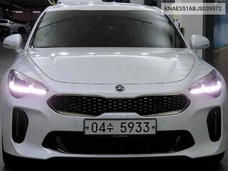 Kia Stinger 2.0 Turbo 2Wd Platinum VIN: KNAE351ABJS039572 Lot: 38012631